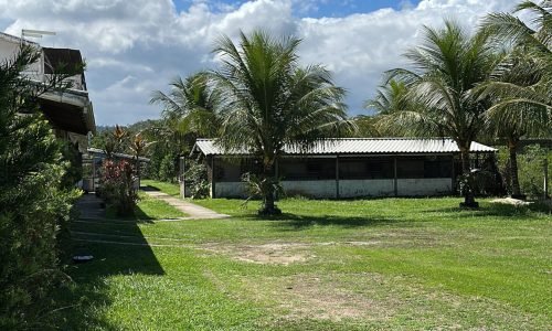 WhatsApp Image 2025-10-01 at 23.03.32